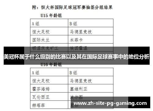 美冠杯属于什么级别的比赛以及其在国际足球赛事中的地位分析 美冠杯属于什么级别的比赛以及其在国际足球赛事中的地位分析