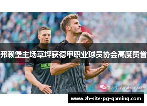 弗赖堡主场草坪获德甲职业球员协会高度赞誉 弗赖堡主场草坪获德甲职业球员协会高度赞誉