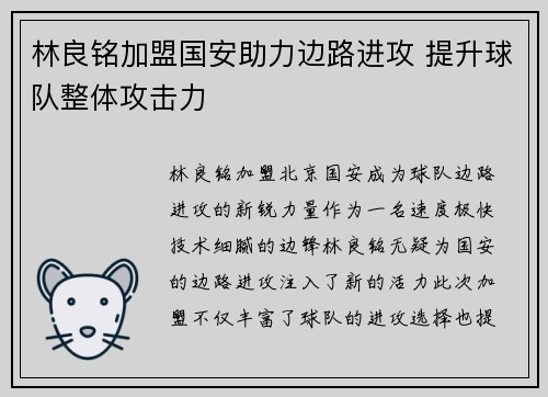 林良铭加盟国安助力边路进攻 提升球队整体攻击力